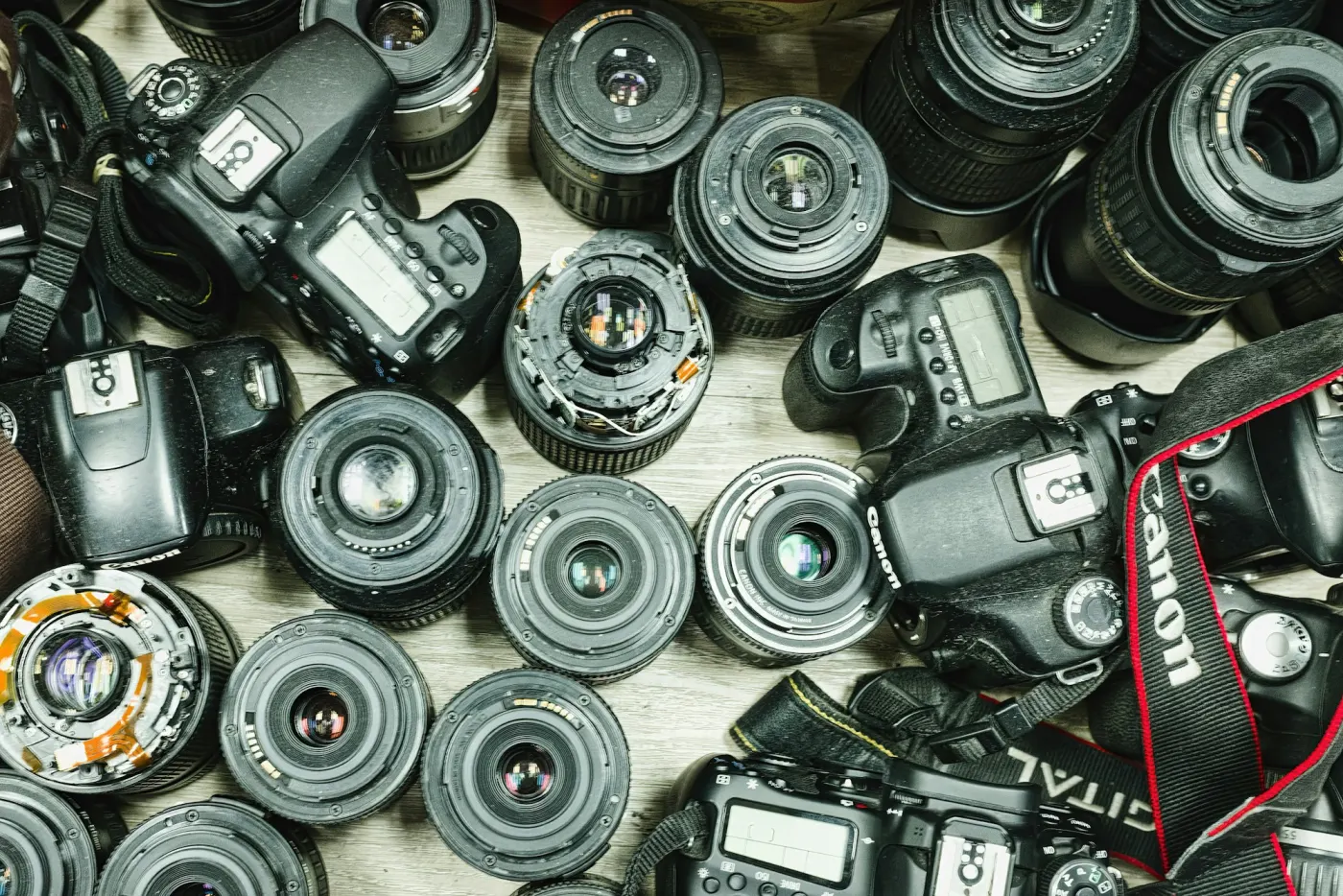 Camera bodies and lenses arranged as a collection.