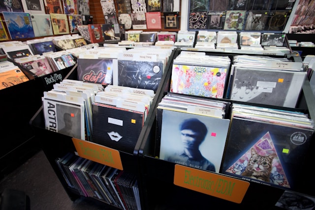 Rows of vinyl records in a personal collection.