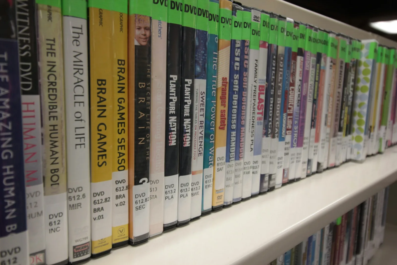 Physical movie releases organized on a shelf.