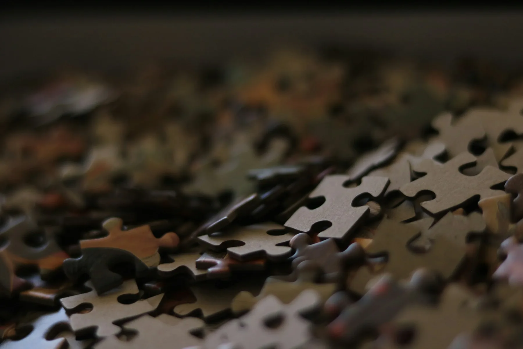 Jigsaw puzzle pieces representing a collection ready to catalog